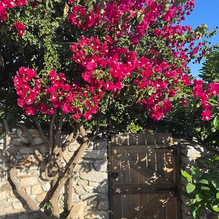 Vila Villaaurora-mani